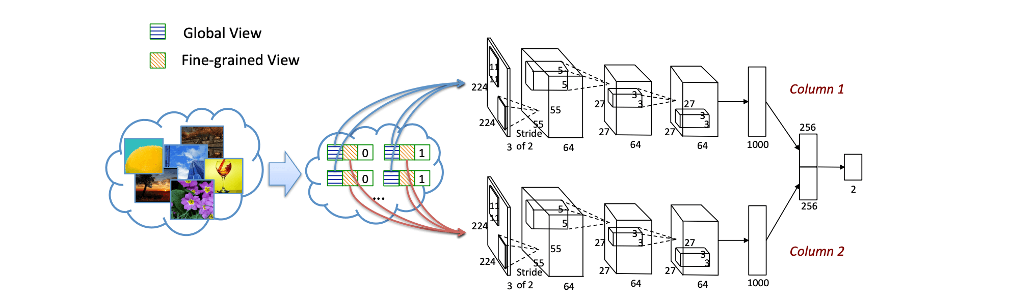 rapid-dcnn